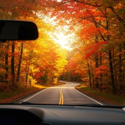 fall foliage road trips USA intro