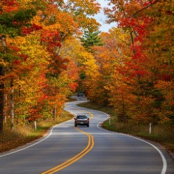 fall foliage road trips