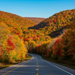 peak leaf peeping dates intro
