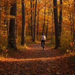 fall bike trails intro